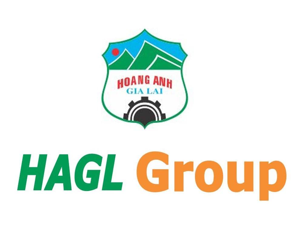 Hoàng Anh Gia Lai Group